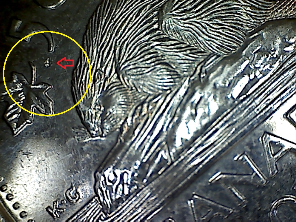 2016 Frappé dans la graisse près du 5 B519016B 1 de 2.jpg