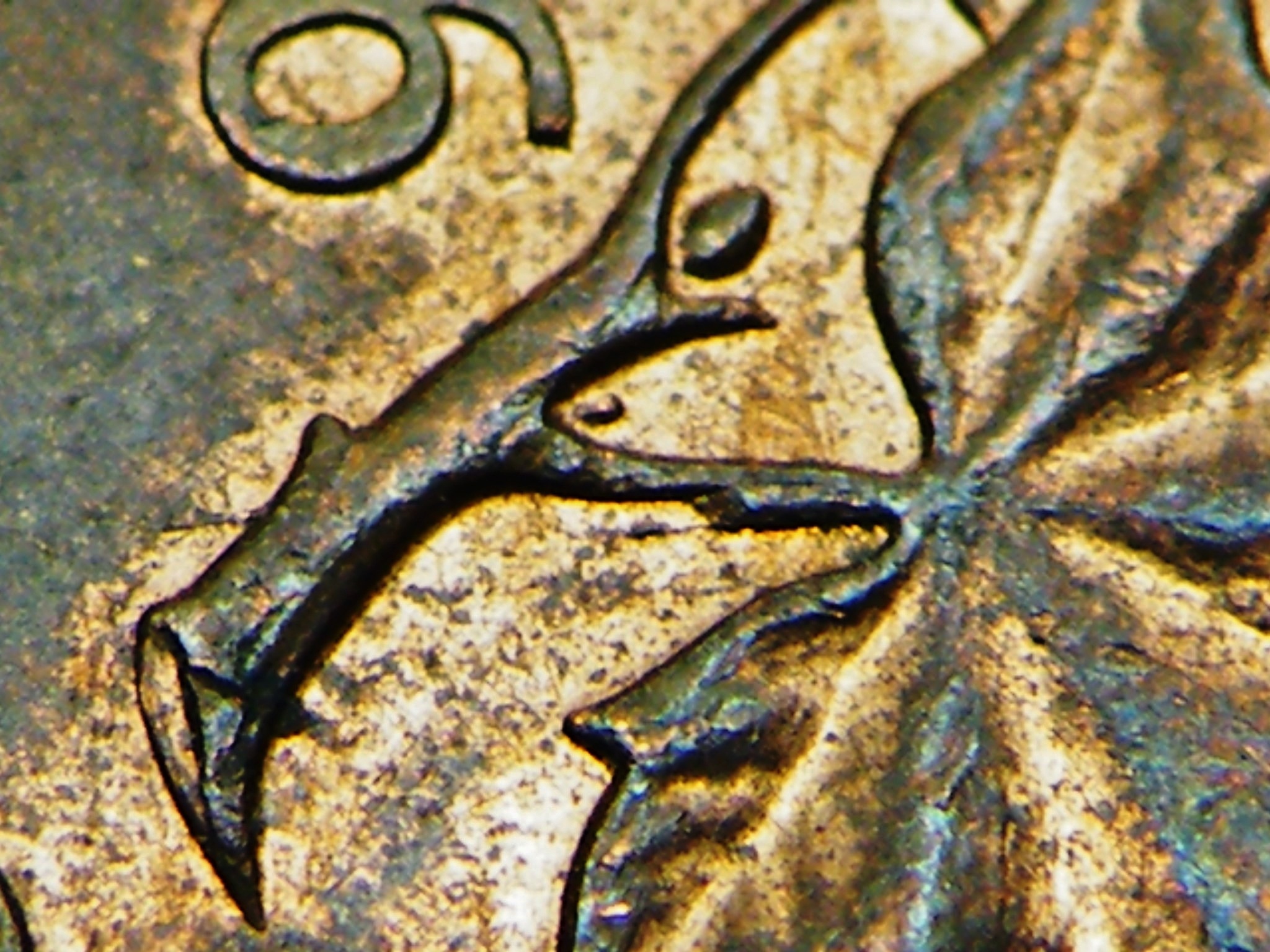 DSCF0418.JPG