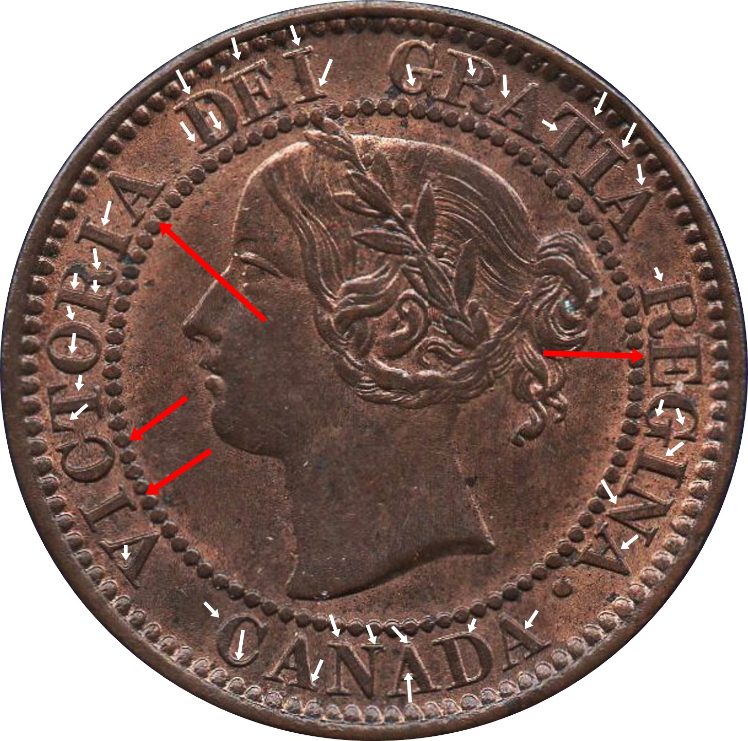JPEG 1859 XX2.jpg