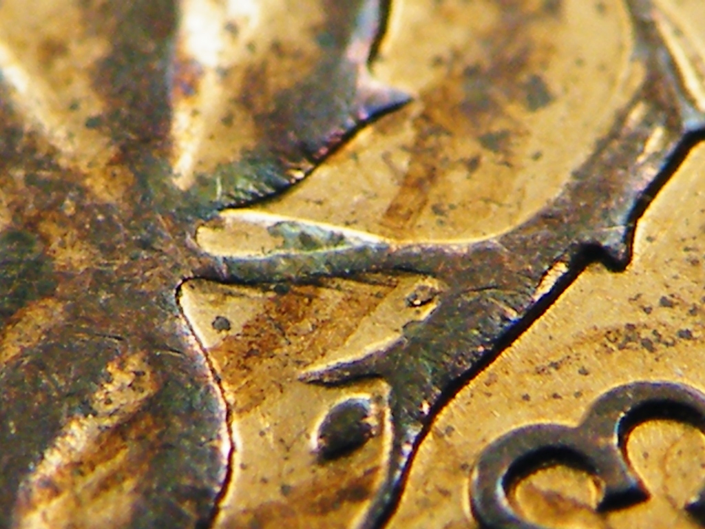 DSCF0553.JPG