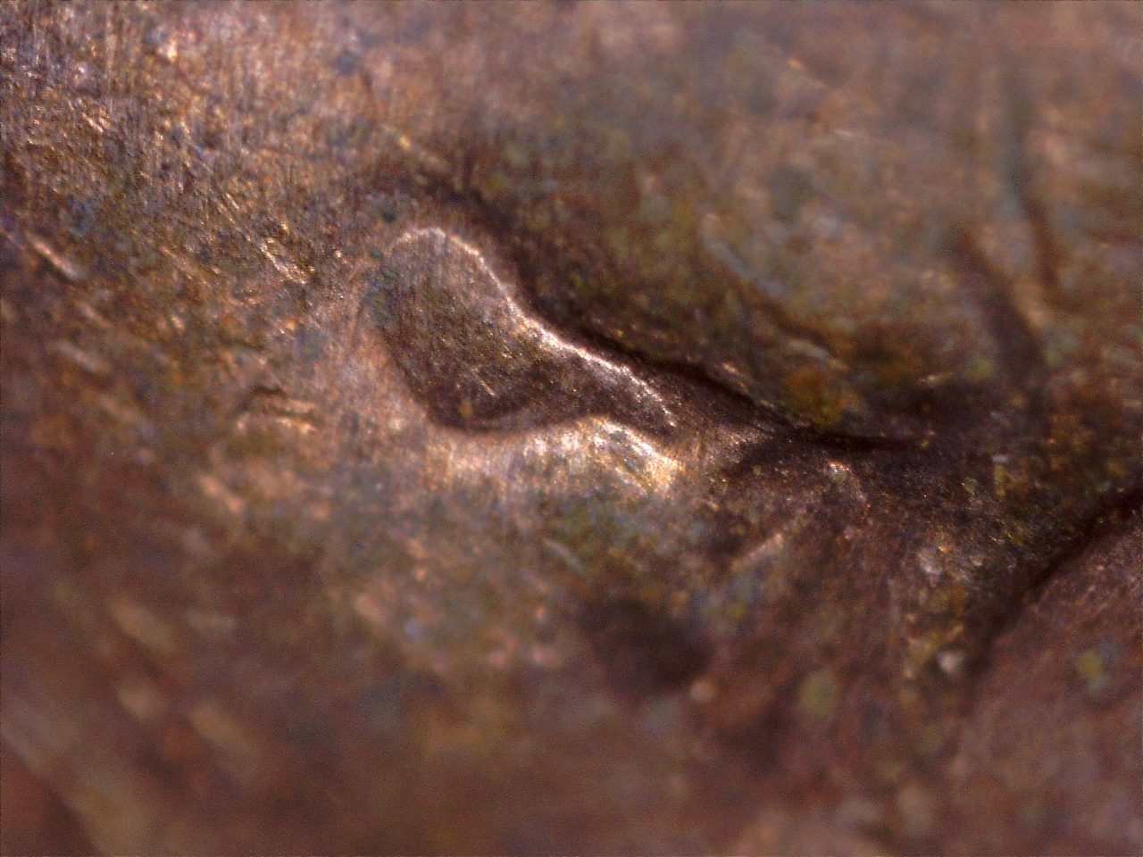1978 aute double yeux 2.jpg