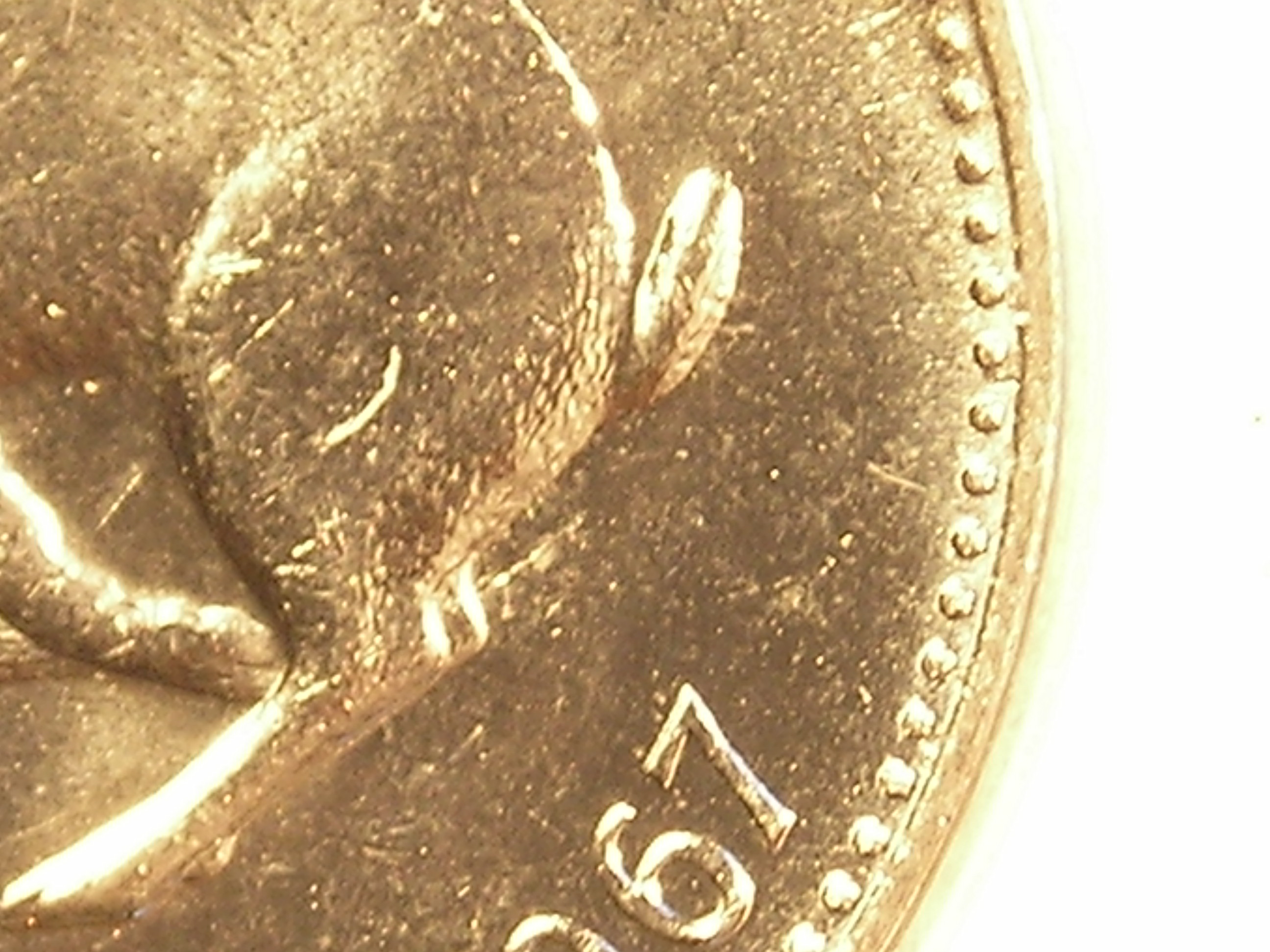 DSCN5223.JPG