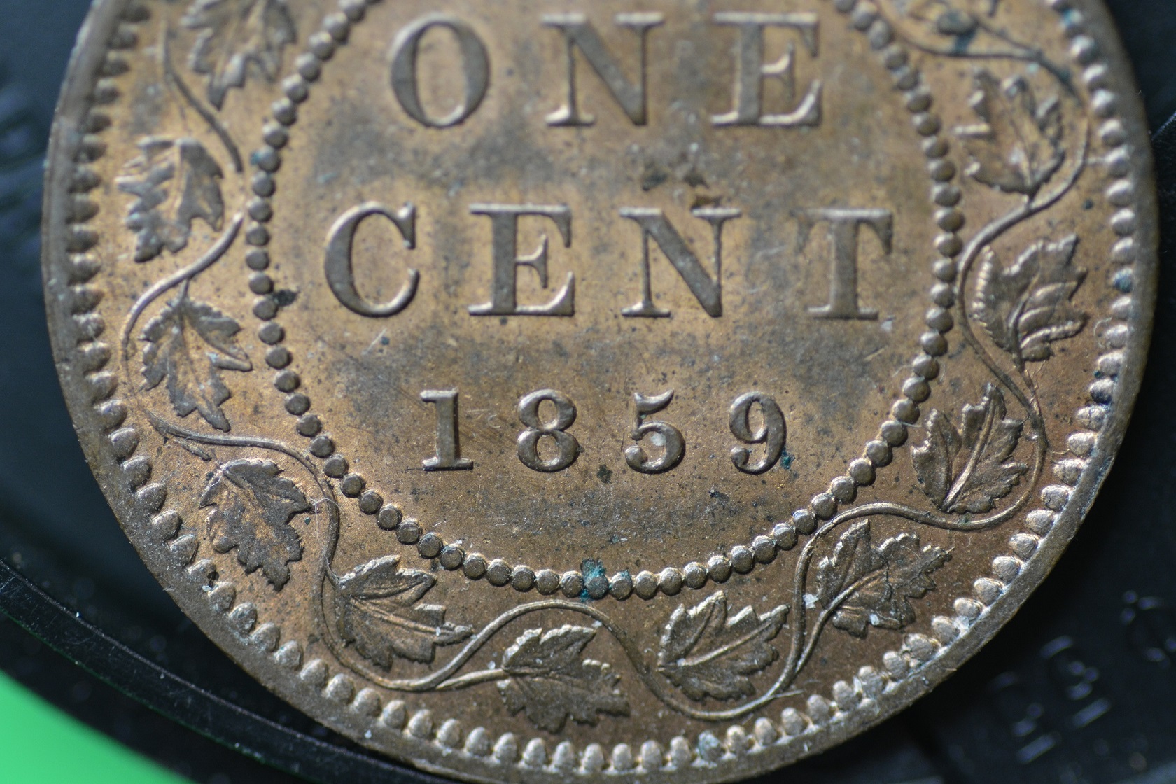1 cent 1859 MS65 2 26-01-19 013.JPG
