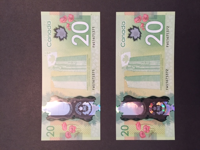 20$ - 2015 commémoratif - verso.JPG