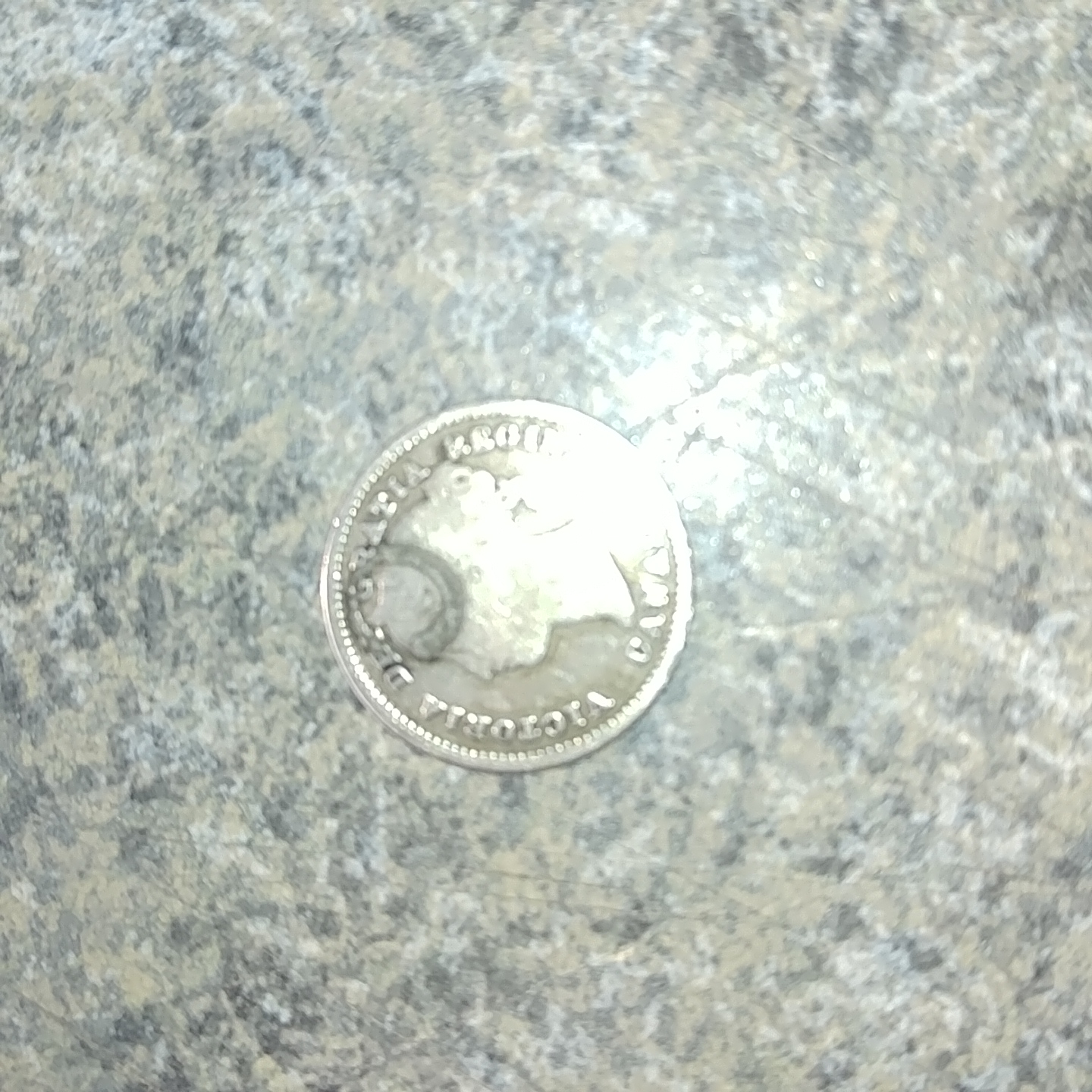 20190320_163336.jpg