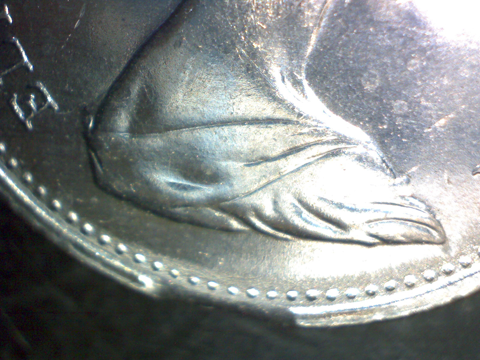 Image123.jpg