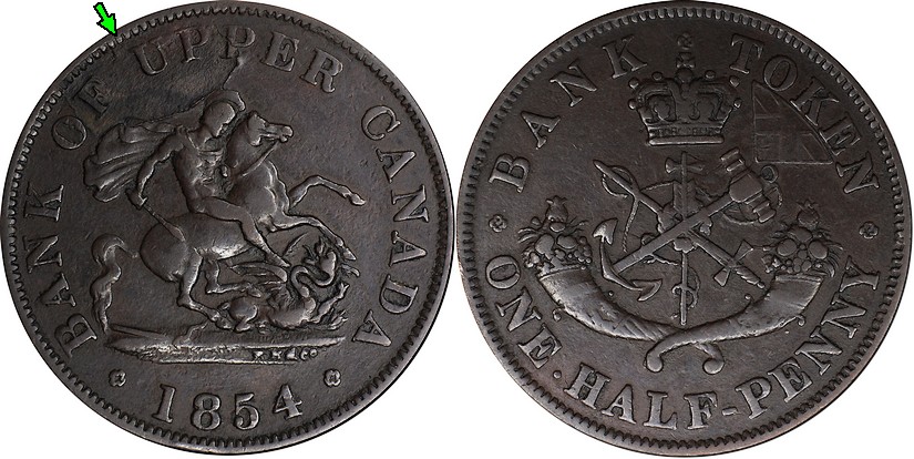 Numi - 1854.jpg