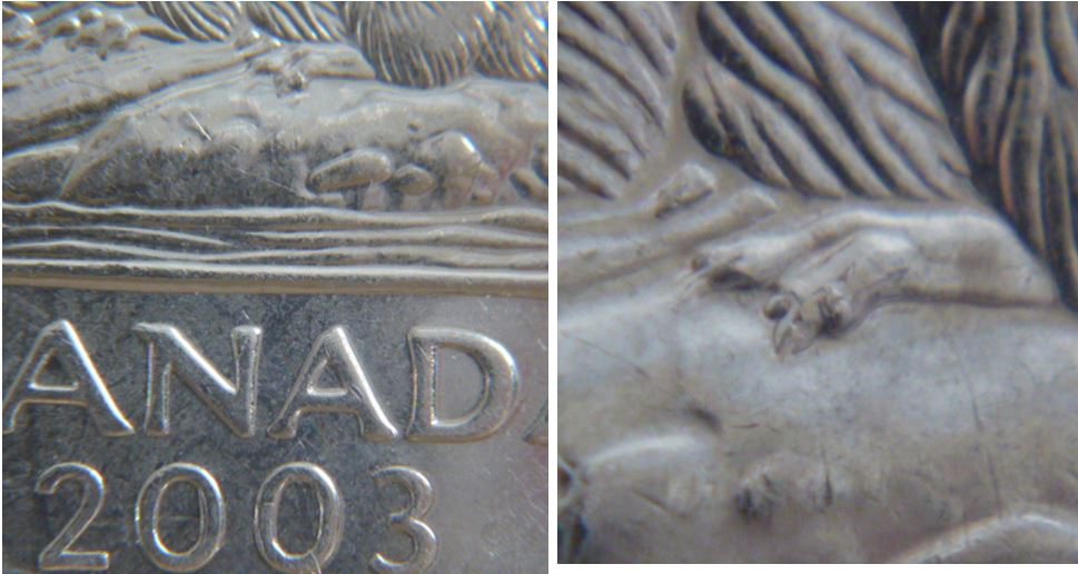 5 Cents 2003P- Griffe additionnel-Éclat de coin-1.JPG