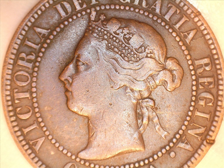 1893.jpg