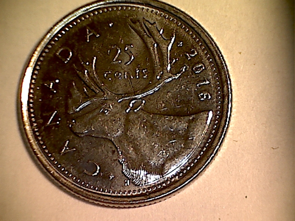 2016 Fissure près de l'arrière du cou B2519124C Revers.jpg