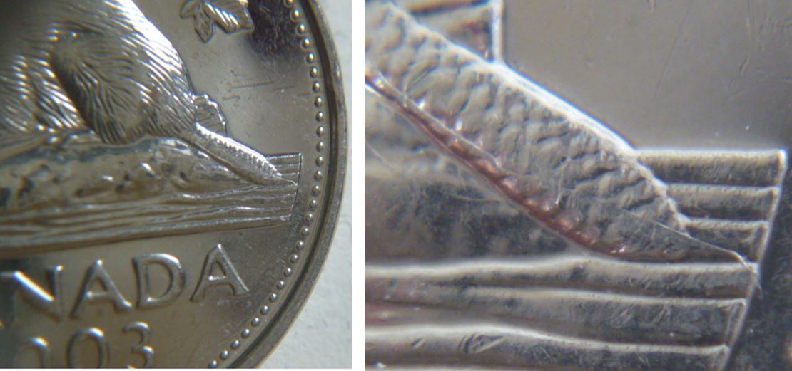 5 Cents 2003p-Coin fendillé sur la queue du castor-2.JPG
