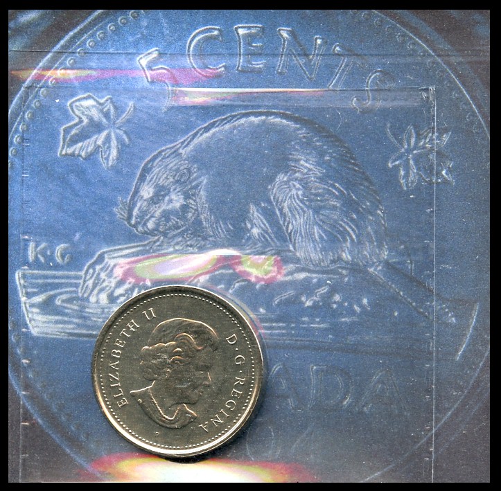 5c 2004P Bald Beaver (ICCS MS-65 - 153$ + Livraison - Évaluation 20-40$).jpg