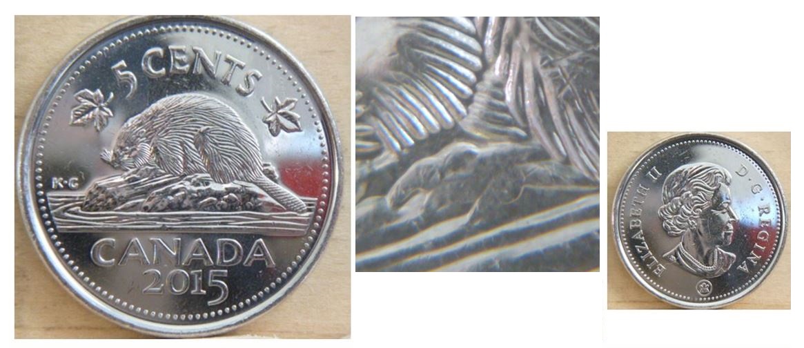 5 Cents 2015 - Polissage excessif patte avent-1.JPG