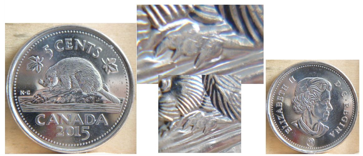 5 Cents 2015 - Polissage excessif patte avent-2.JPG