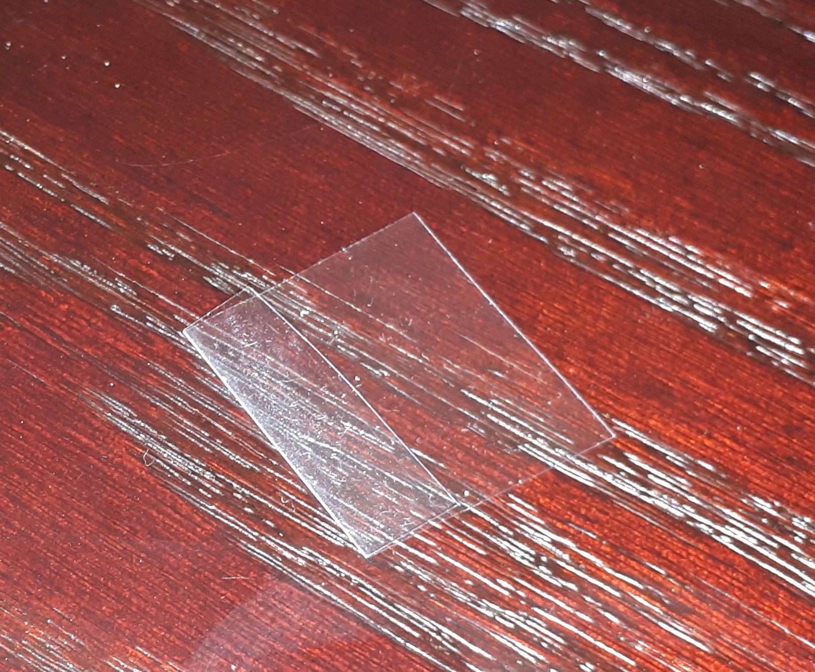 20190825_071439.jpg