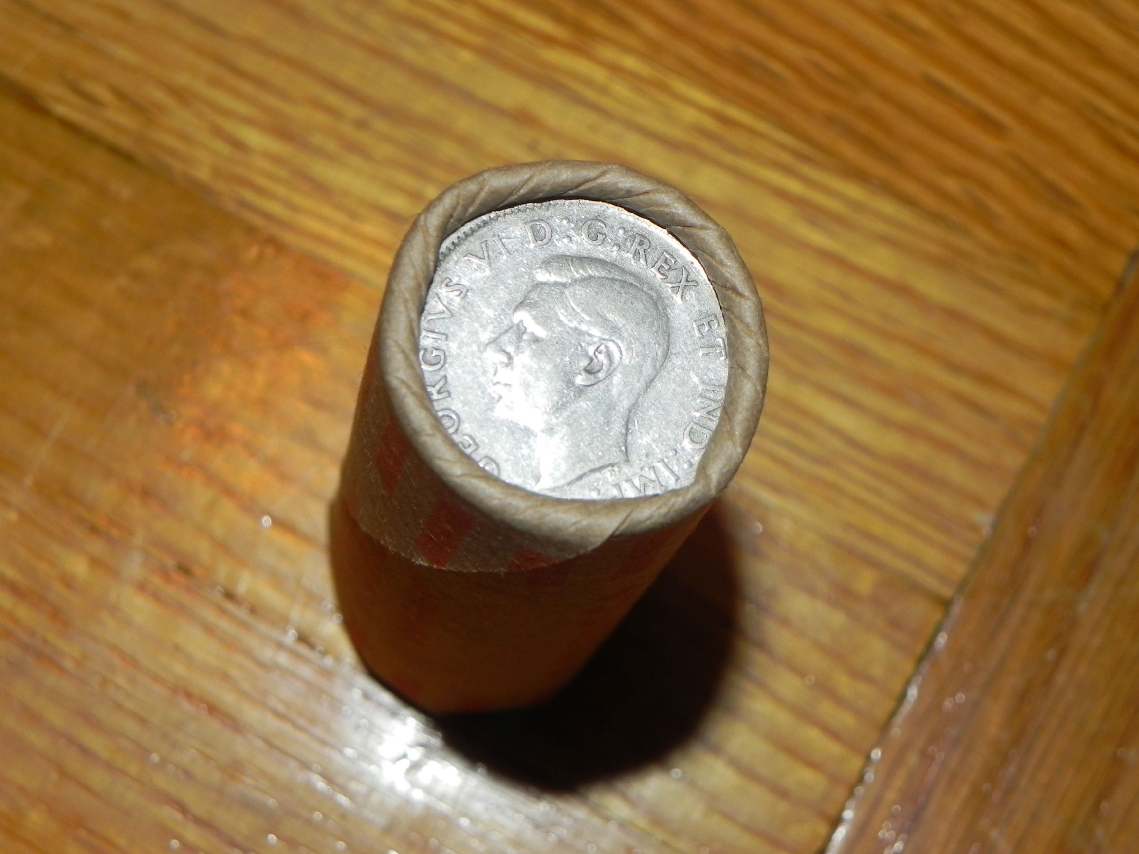 DSCN7093 1.JPG