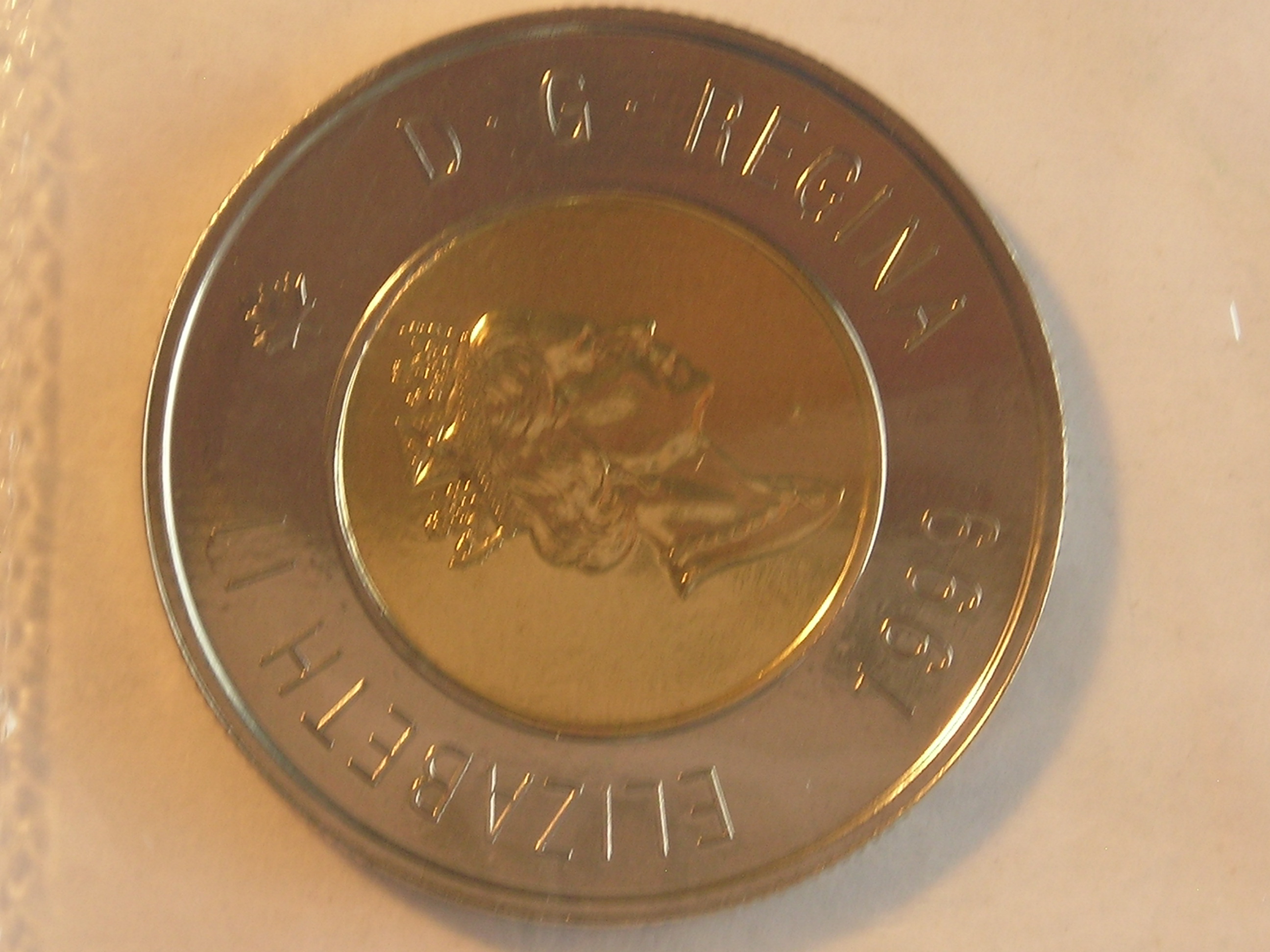 DSCN5936.JPG