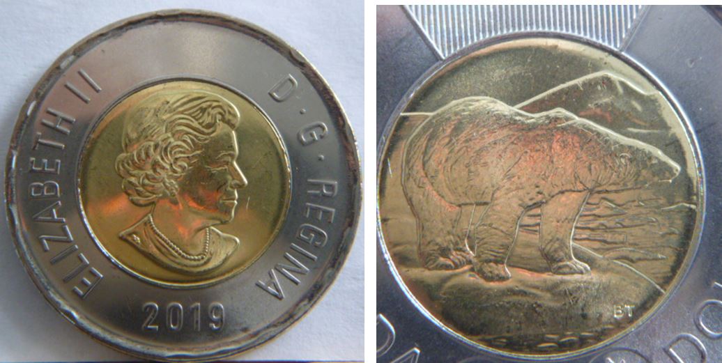 2 Dollar 2019-Coin fendillé sur le dos de l'ours-1.JPG