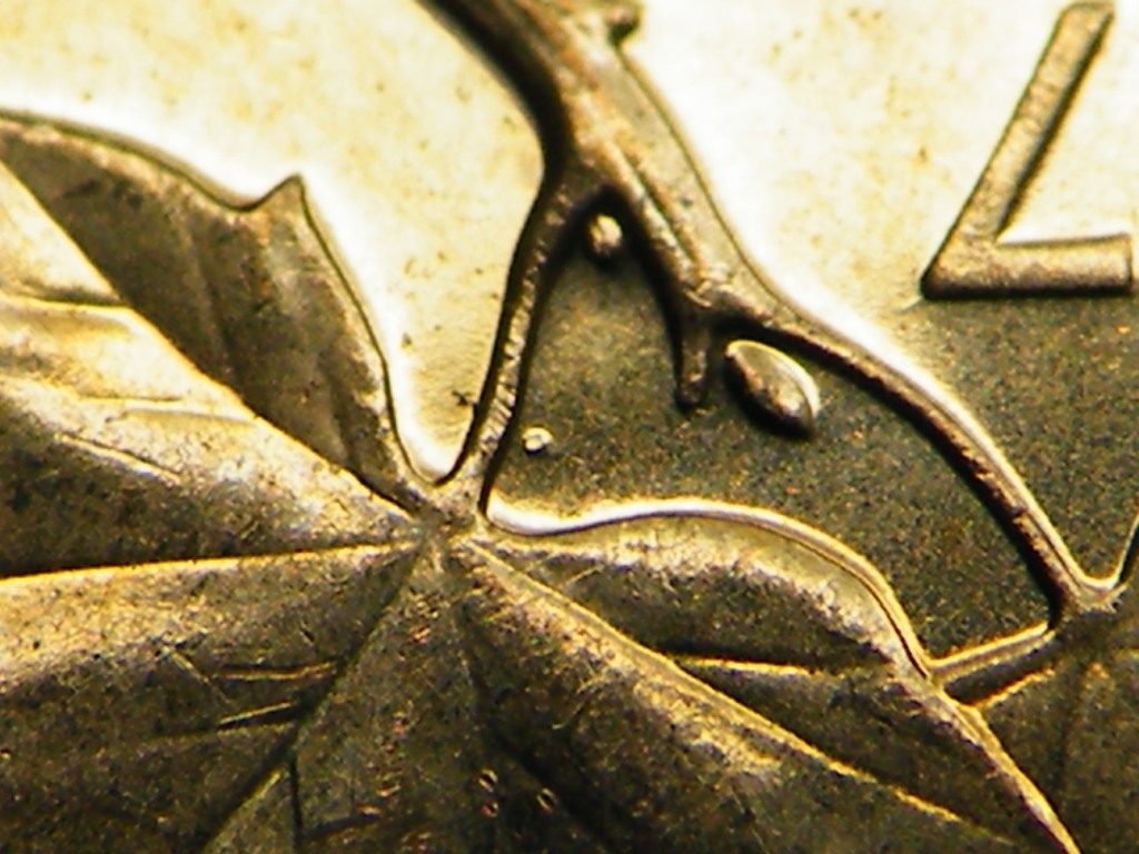 DSCF8844.JPG