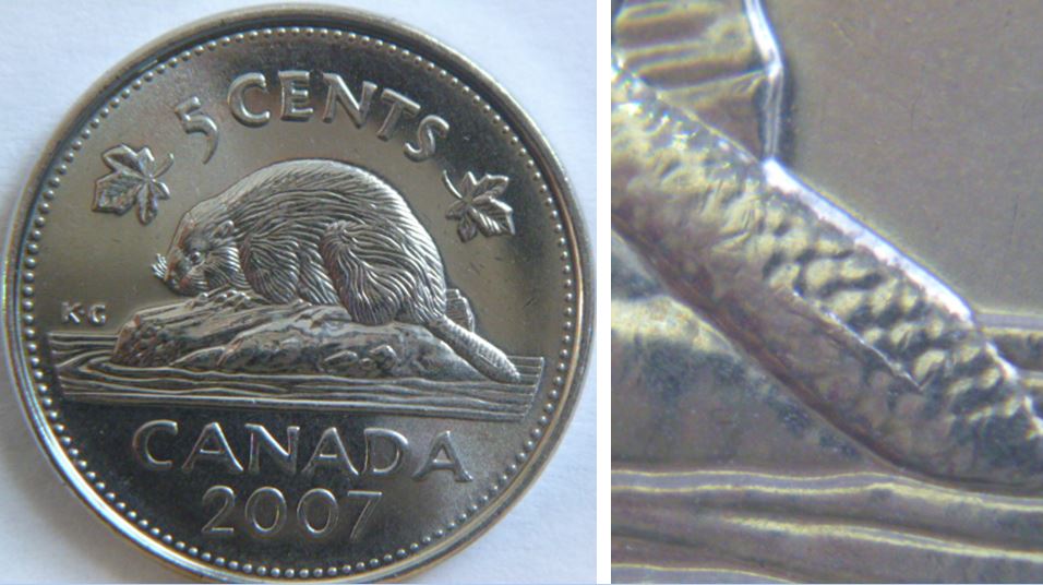 5 Cents 2007-Éclat du coin sur la queue.JPG