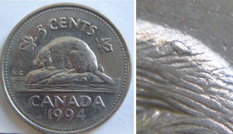 5 Cents 1994-Éclat du coin sur le dos castor.JPG