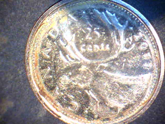 25 cents 2011.jpg