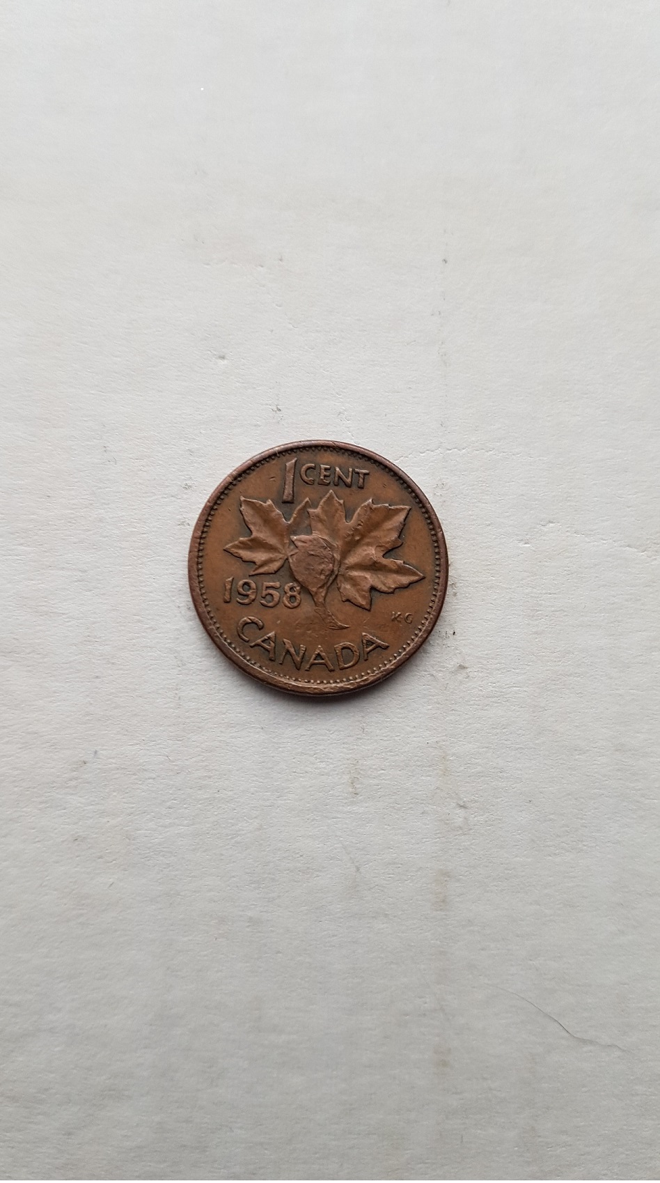 feuille.jpg