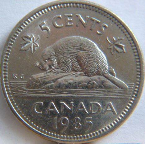 5 Cents 1985-Éclat coin sur épaule de l'effigie-1.JPG