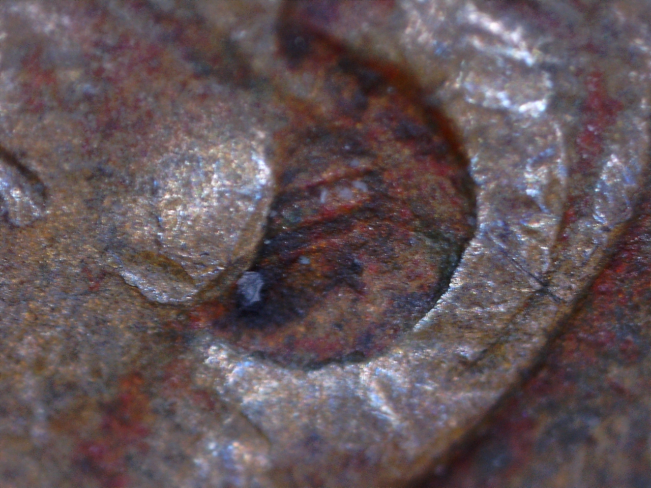 1946 oreille cent 2.jpg
