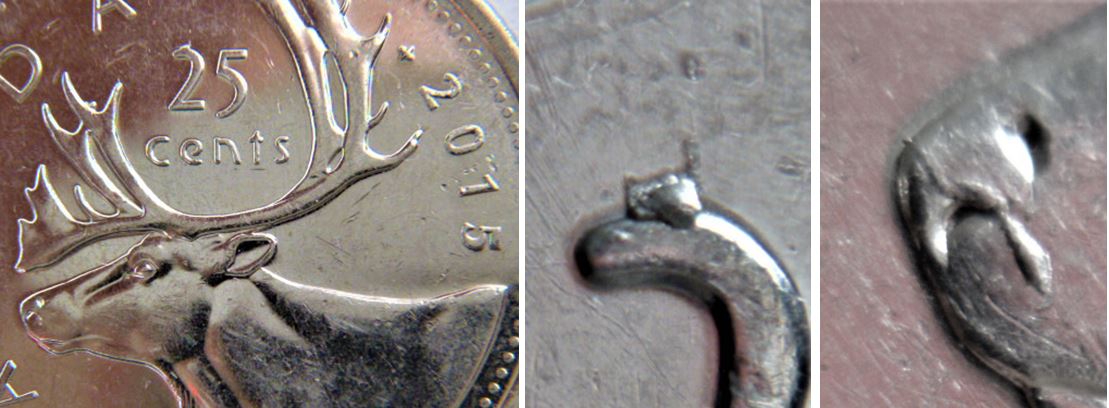 25 Cents 2015-Éclat coin le nez de l'élanet le 2 de 25.JPG