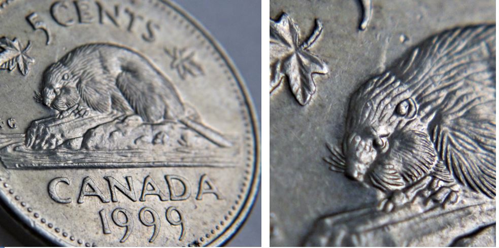5 Cents 1999-Coin entrechoque a la bouche et sur la tête du castor-1.JPG