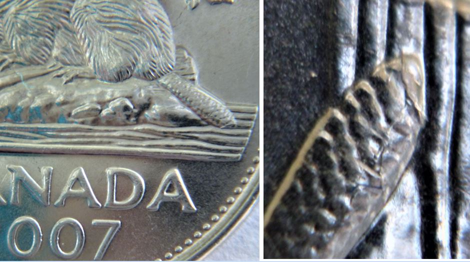 5 Cents 2007-Coin fendillé  sur La queue du castor-1.JPG