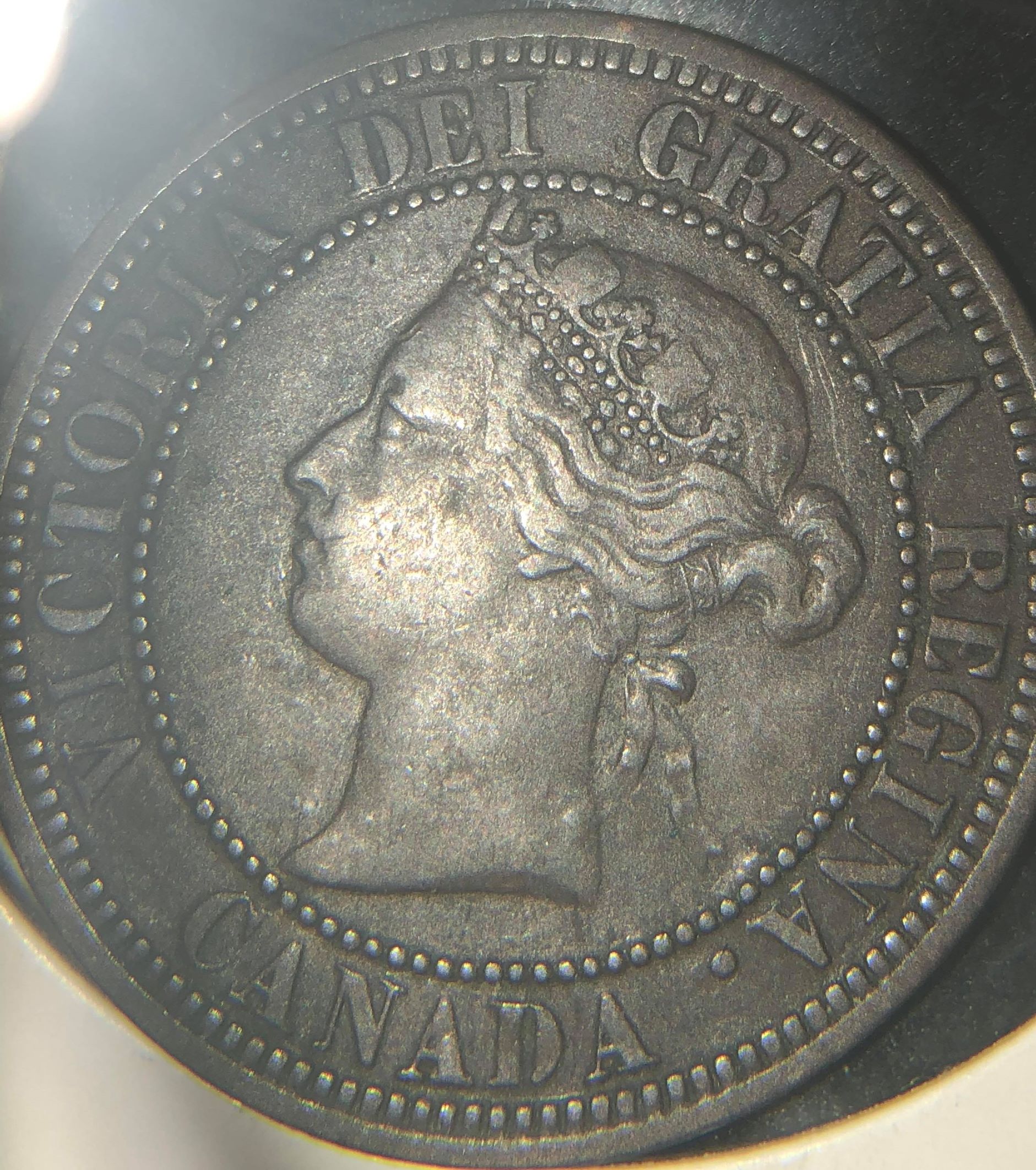 cent 1882 2 1.jpg