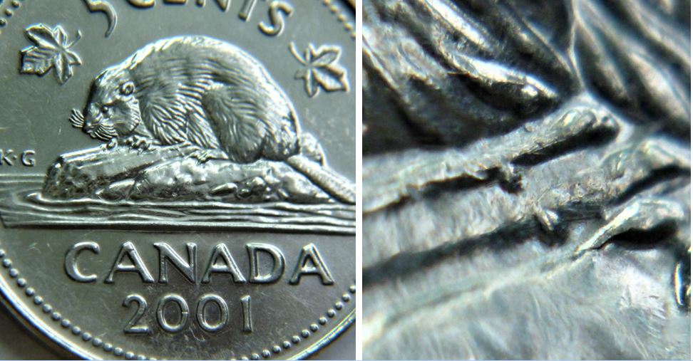 5 Cents 2001-Éclat du coin sur la buche-sous le ventre du castor.1.JPG
