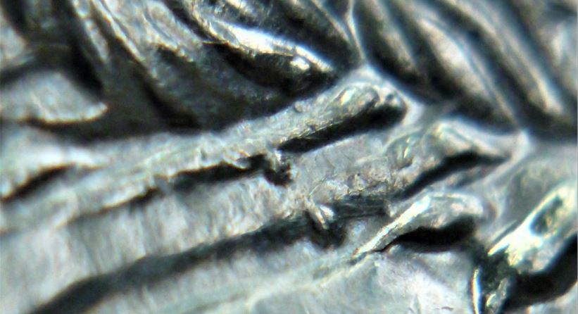 5 Cents 2001-Éclat du coin sur la buche-sous le ventre du castor.2.JPG