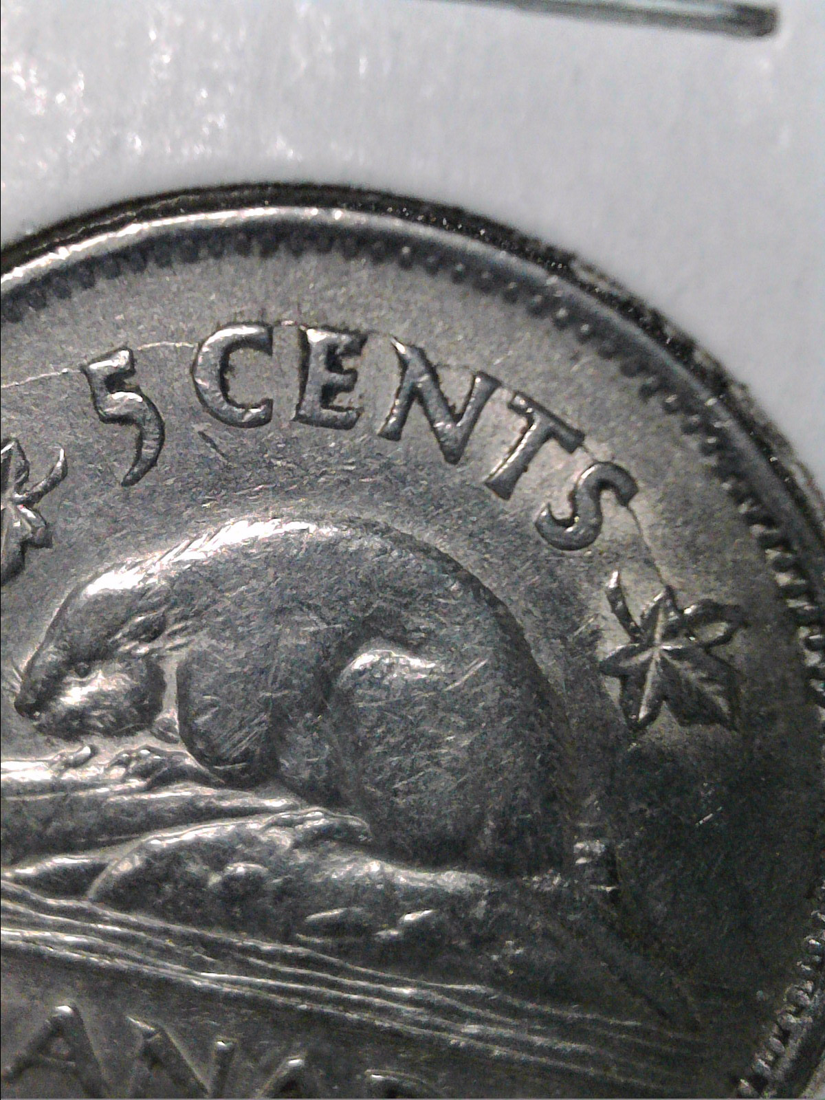 51942revcf5cents+feuille.jpg