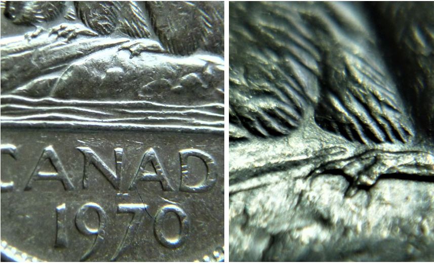 5 Cents 1970-Dépôt de métal a L'abdomen du castor.JPG