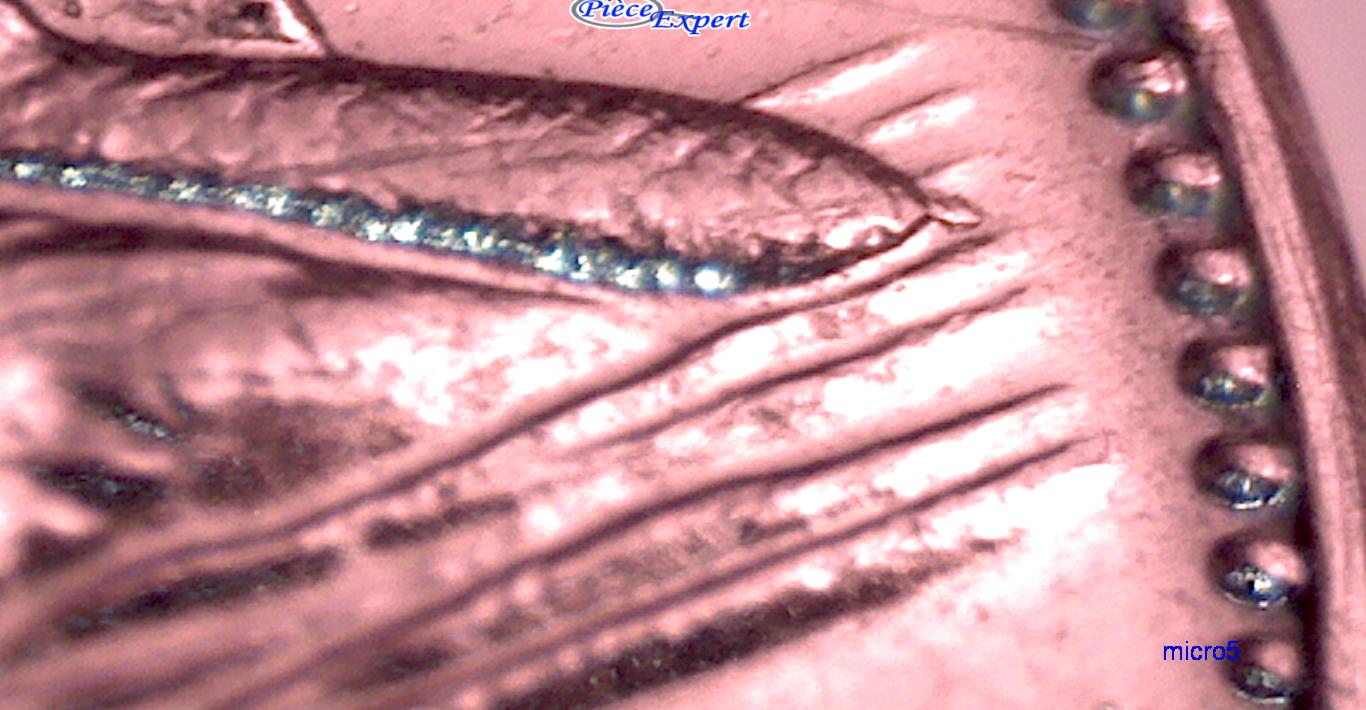 CPE_Image20170303202848.jpg