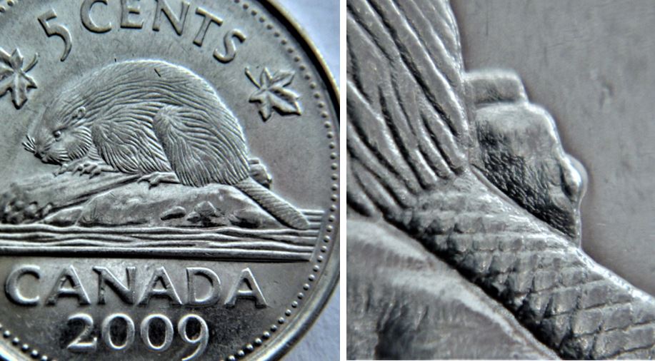 5 Cents 2009-Éclat du coin sur dernière la buche.JPG