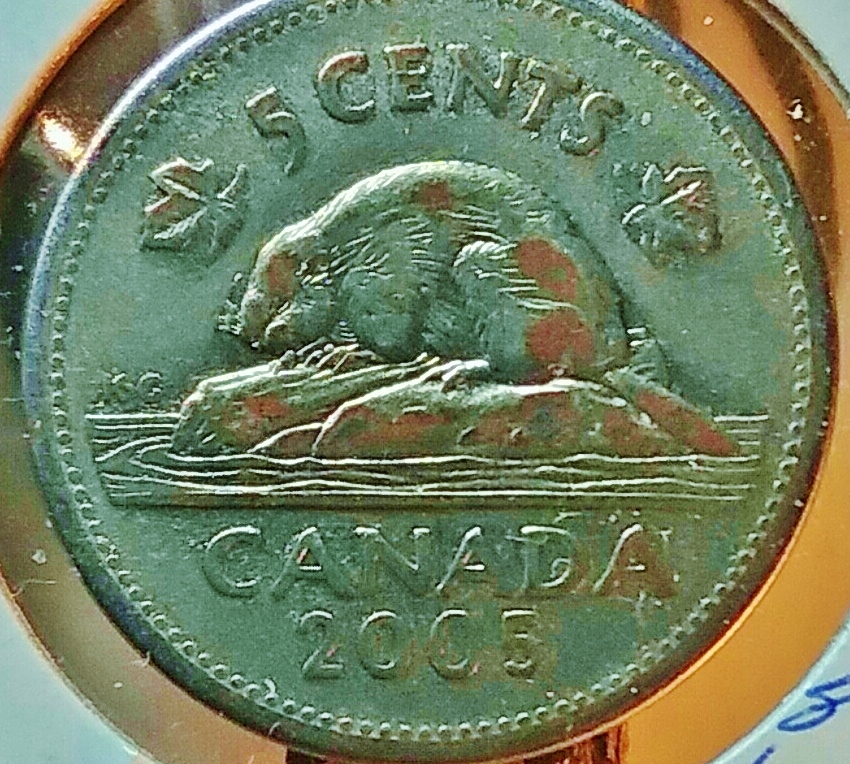 20170306_094447.jpg