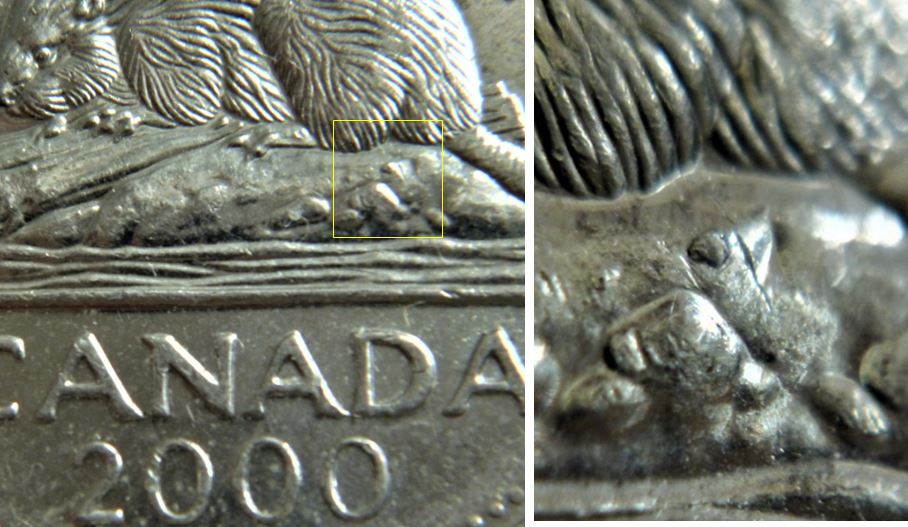 5 Cents 2000-Éclat coin sous le castor-1.JPG