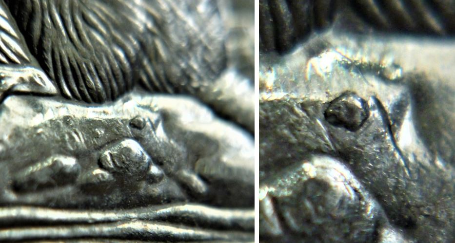5 Cents 2000-Éclat coin sous le castor-2.JPG