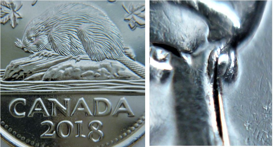 5 Cents 2018-Éclat coin entre les deux yeux- Un 3è oeil vas bientôt sortir-1.JPG