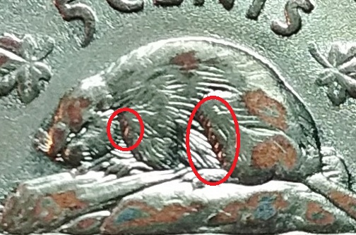 14889025579871450385012.jpg