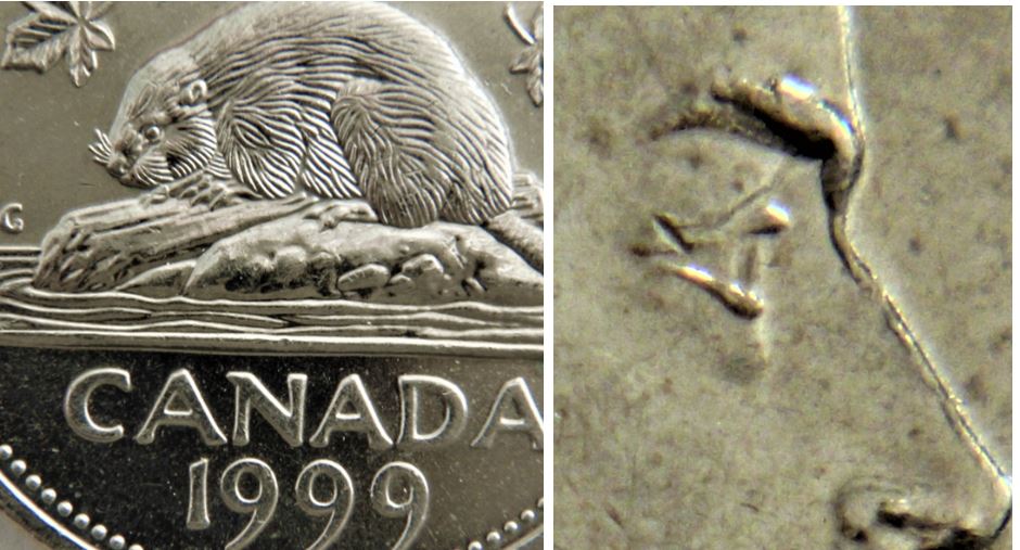 5 Cents 1999-Belle sourcil cette effigie-Éclat du coin-1.JPG