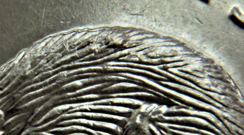 5 Cents 2011-Éclat coin sur le dos du castor+double dos-5.JPG
