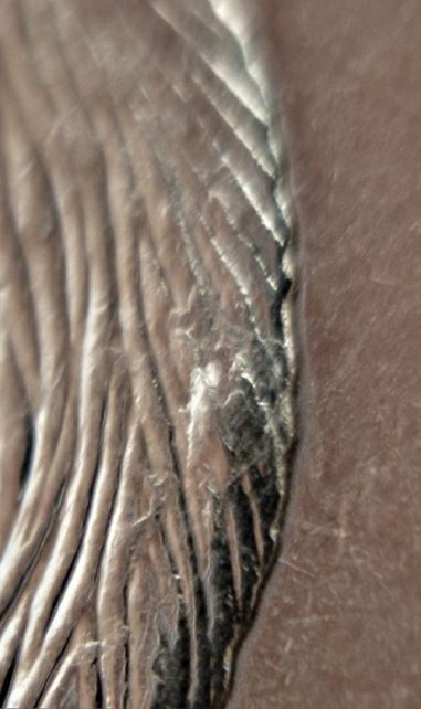 5 Cents 2011-Éclat coin sur le dos du castor+double dos-3.JPG
