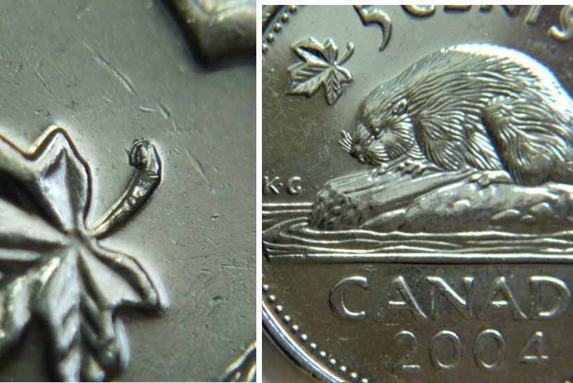 5 Cents 2004-Éclat coin a la tige de la feuille gauche,1.JPG