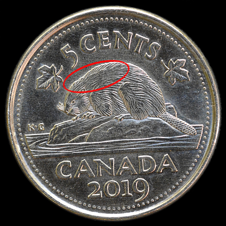 5 cent 2019 die crack dos castor.jpg