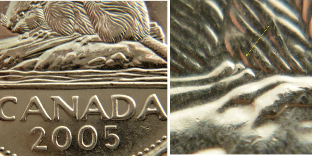 5 Cents 2005-Morceau de bois extra-Éclat coin.JPG